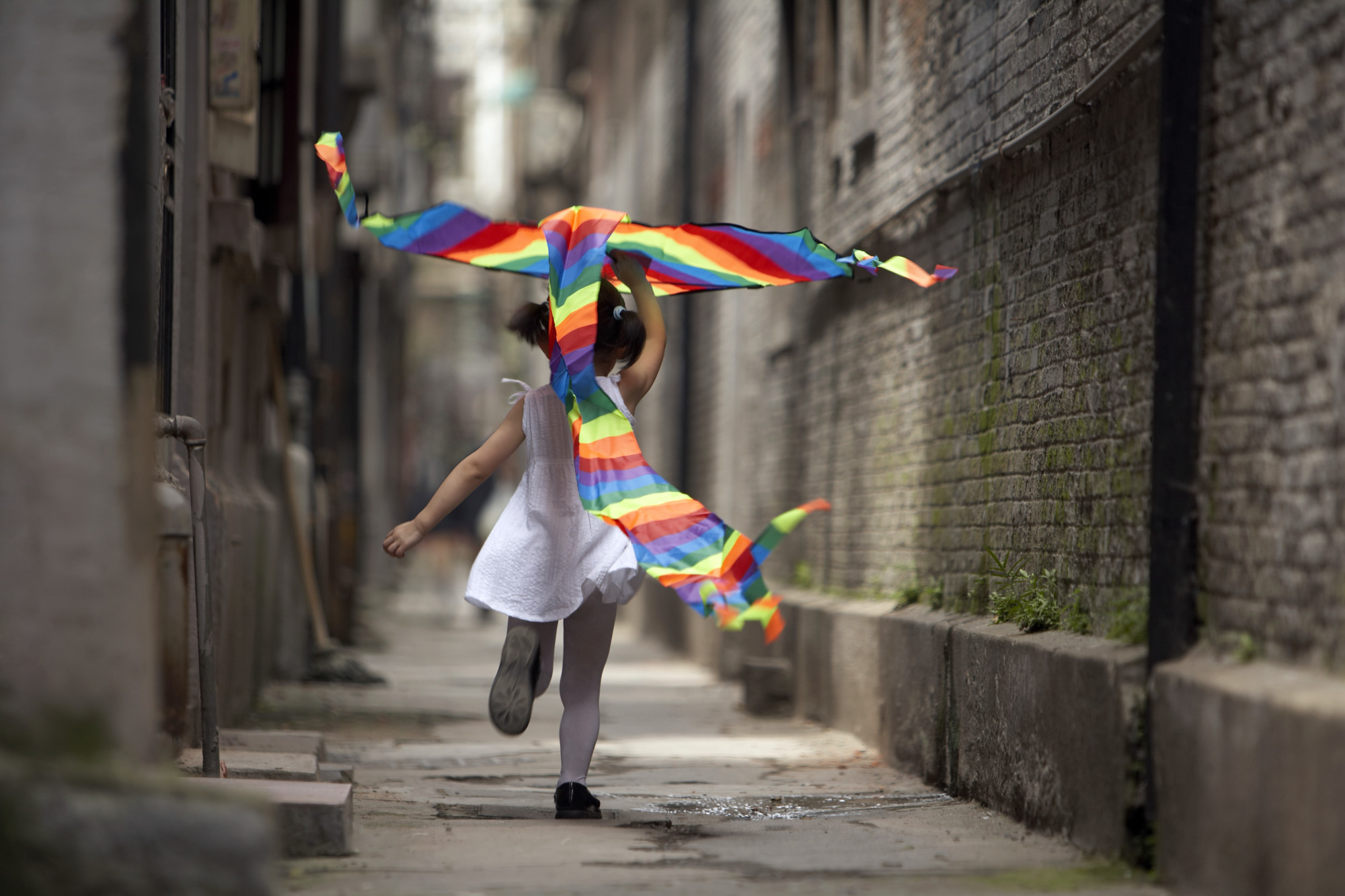 LGBT人群可以进行代孕吗?